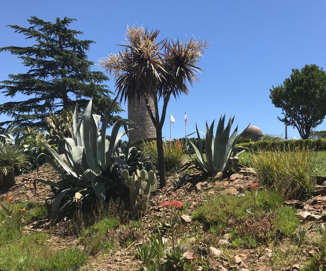 Hotel Provincial Sierra de la Ventana Dış mekan fotoğraf